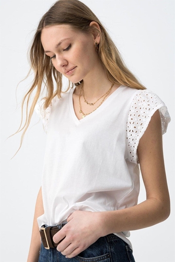 Camiseta de pico blanca, Graciosa - Imagen 1