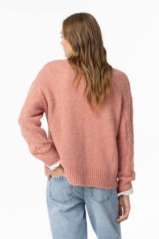 Jersey de punto rosa de ochos, Hesperia - Imagen 3