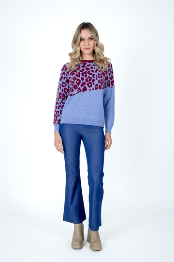 Jersey koala - Imagen 2