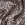 Pañuelo animal print - Imagen 2