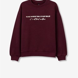 Sudadera granate, Oceanic - Imagen 1