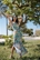Vestido Galaxia - Imagen 1